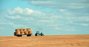 brown hay on tractor under white and blue sky during daytime